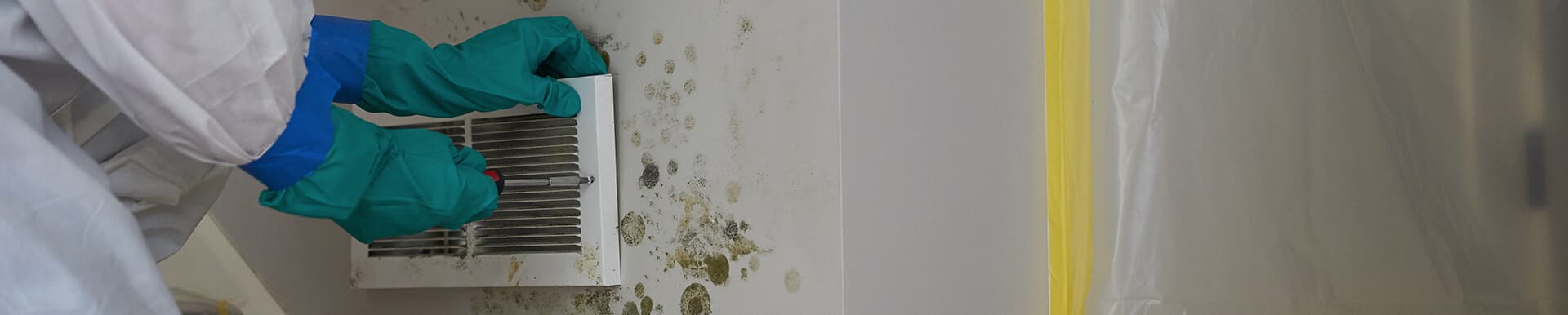Commercial mold remediation and removal services