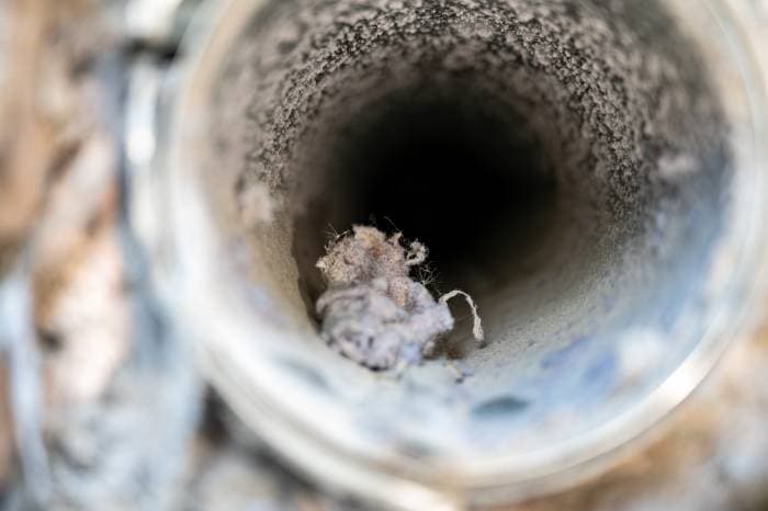 Odor Damage