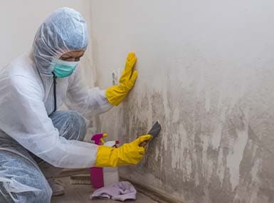 Mold