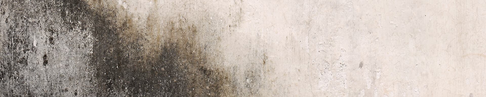 Commercial fire and smoke damage restoration services