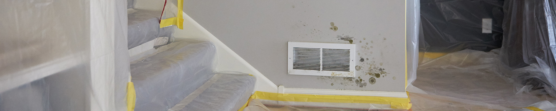 Mold damage on walls in Spokane home